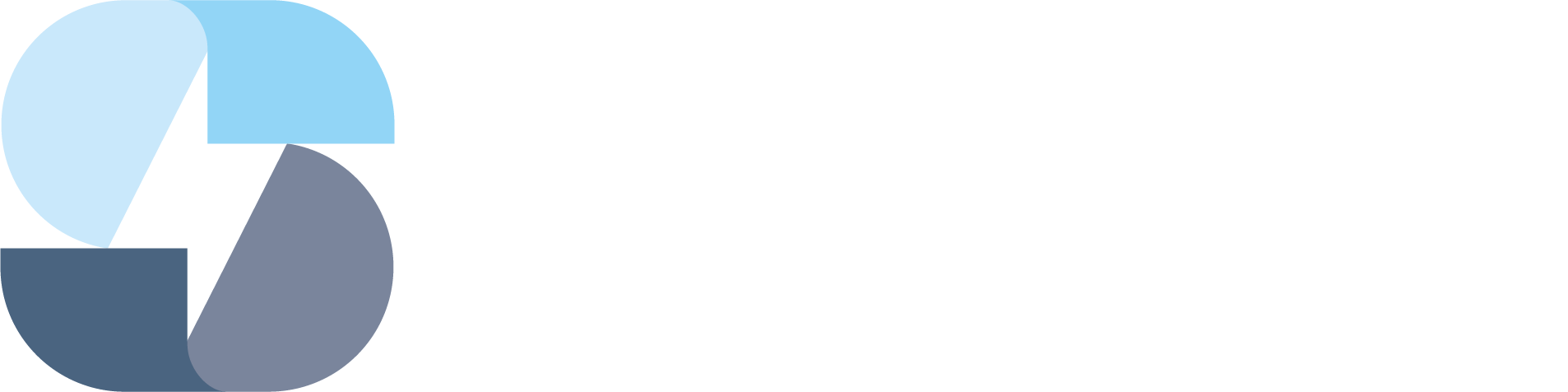 Roland Strasser Digital Solutions